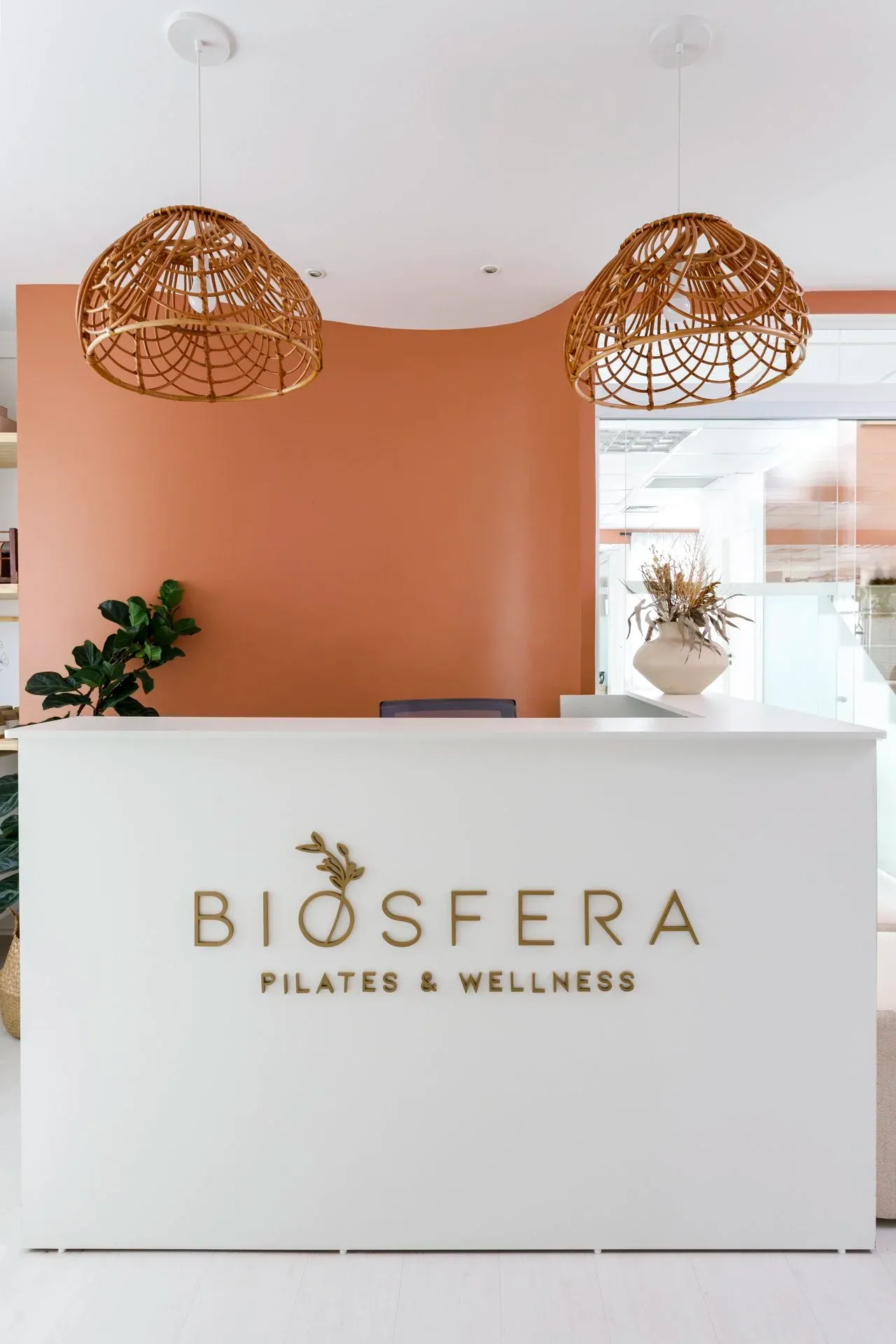 Publicação 1 do Instagram da Biosfera Pilates