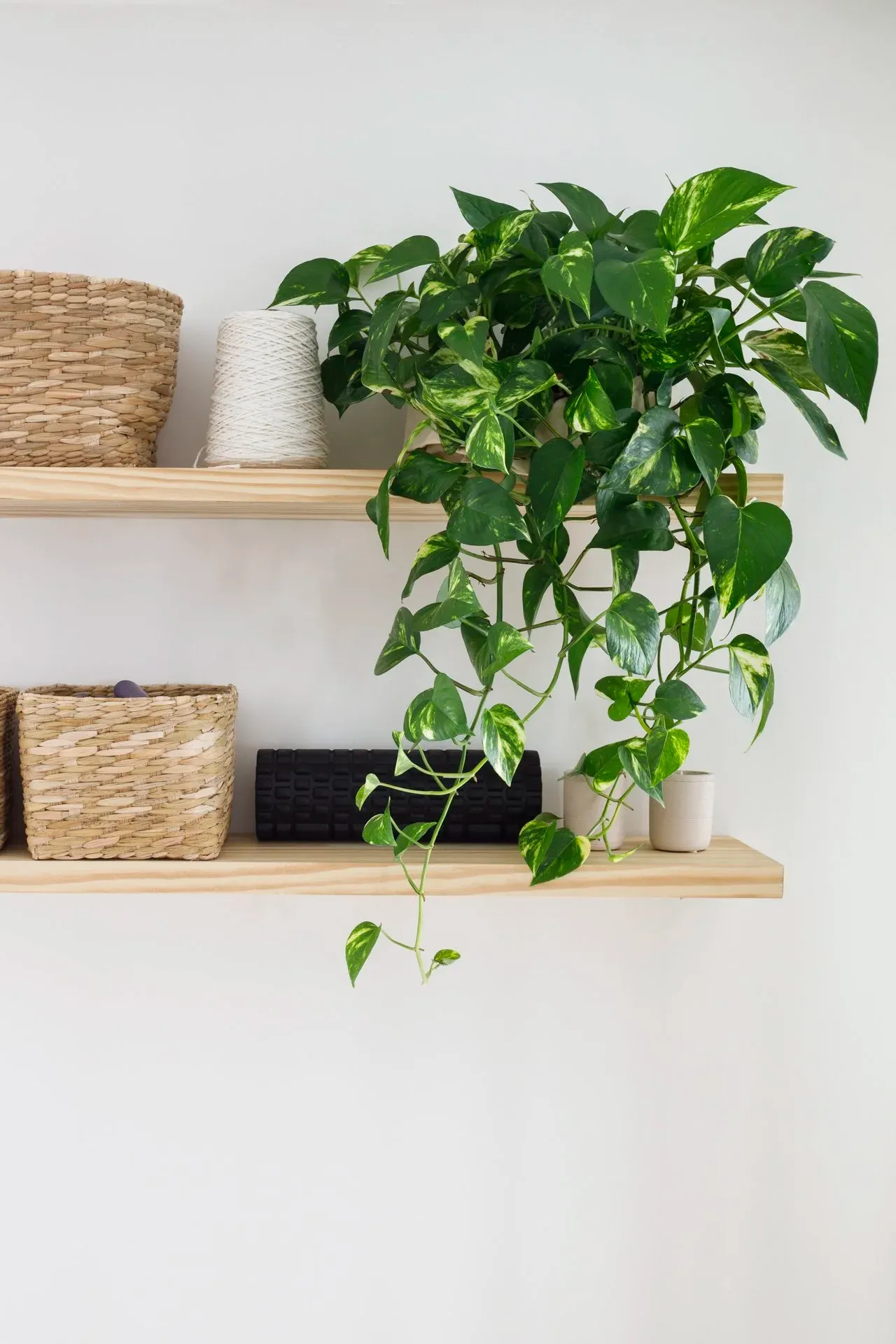 Prateleira com planta pendente, cesto e vaso na sala de pilates